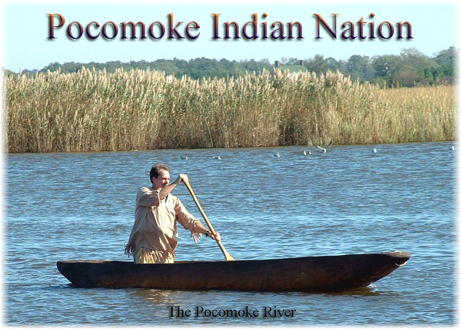 The Great Pocomoke River